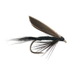 Black Gnat Wet Fly